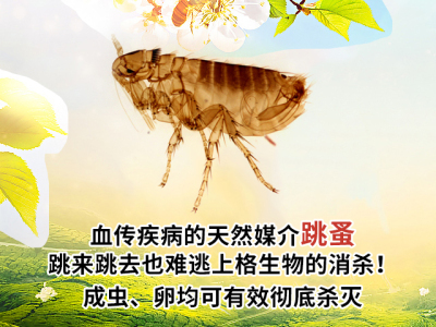 上海消灭白蚂蚁公司 上海除四害产品