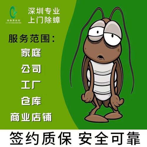 深圳福田南山罗湖地区上门服务灭蟑螂消杀害虫防治白蚁除四害公司