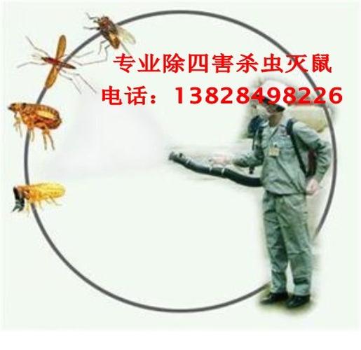 广州市白蚁防治杀虫除四害公司